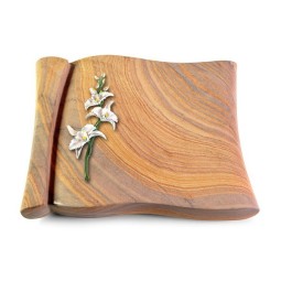 Grabbuch Voltaire/Rainbow Orchidee (Color)