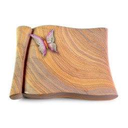 Grabbuch Voltaire/Rainbow Papillon 1 (Color)