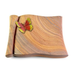 Grabbuch Voltaire/Rainbow Papillon 2 (Color)