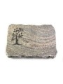 Grabplatte Juparana/Pure Baum 1