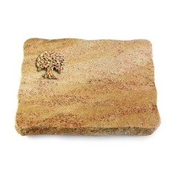 Grabplatte Kashmir/Pure Baum 3 (Bronze)