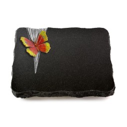 Grabplatte Indisch Black Delta Papillon 2 (Color)