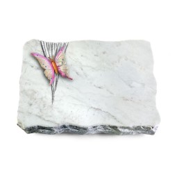 Grabplatte Omega Marmor/Delta Papillon 1 (Color)