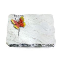 Grabplatte Omega Marmor/Delta Papillon 2 (Color)