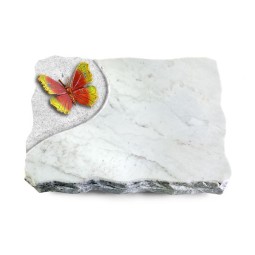 Grabplatte Omega Marmor/Folio Papillon 2 (Color)