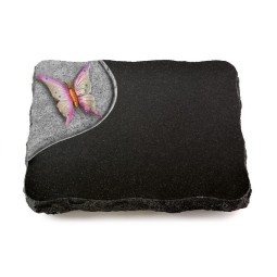 Grabplatte Indisch Black Folio Papillon 1 (Color)