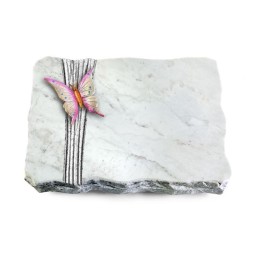 Grabplatte Omega Marmor/Strikt Papillon 1 (Color)