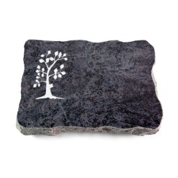 Grabplatte Orion/Pure Baum 1