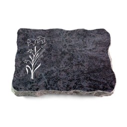 Grabplatte Orion/Pure Zweig 1