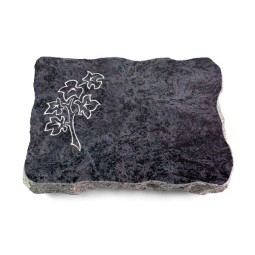 Grabplatte Orion/Pure Zweig 2