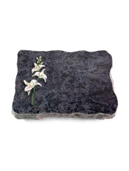Grabplatte Orion/Pure Orchidee (Color)