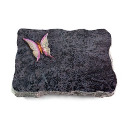 Grabplatte Orion/Pure Papillon 1 (Color)