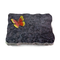 Grabplatte Orion/Pure Papillon 2 (Color)