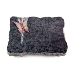 Grabplatte Orion/Delta Papillon 1 (Color)