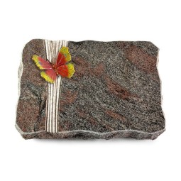 Grabplatte Paradiso/Strikt Papillon 2 (Color)