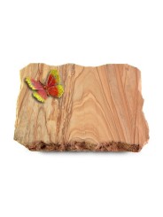 Grabplatte Rainbow/Pure Papillon 2 (Color)