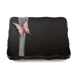 Grabplatte Indisch Black Strikt Papillon 1 (Color)