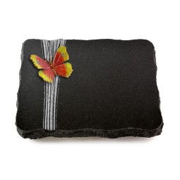 Grabplatte Indisch Black Strikt Papillon 2 (Color)