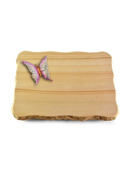 Grabplatte Rainbow/Pure Papillon 1 (Color)