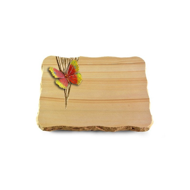 Grabplatte Woodland/Delta Papillon 2 (Color)