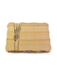 Grabplatte Woodland/Strikt Ähren 1 (Bronze)
