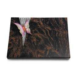 Grabtafel Aruba Delta Papillon 1 (Color)