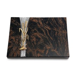 Grabtafel Aruba Strikt Ähren 2 (Bronze)
