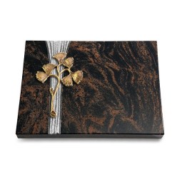 Grabtafel Aruba Strikt Gingozweig 1 (Bronze)
