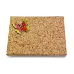 Grabtafel Kashmir Pure Papillon 2 (Color)