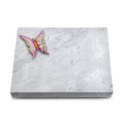 Grabtafel Omega Marmor Pure Papillon 1 (Color)