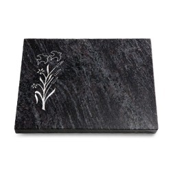 Grabtafel Orion Pure Zweig 1