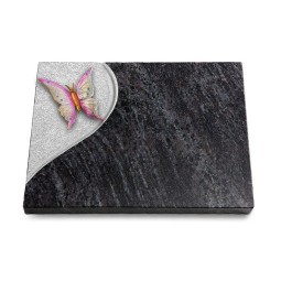 Grabtafel Orion Folio Papillon 1 (Color)