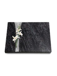 Grabtafel Orion Strikt Orchidee (Color)