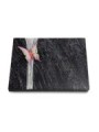 Grabtafel Orion Strikt Papillon 1 (Color)