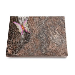 Grabtafel Paradiso Delta Papillon 1 (Color)