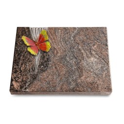 Grabtafel Paradiso Delta Papillon 2 (Color)