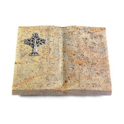 Grabbuch Livre/New Kashmir Baum 2 (Alu)