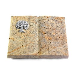 Grabbuch Livre/New Kashmir Baum 3 (Alu)