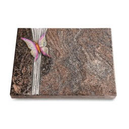 Grabtafel Paradiso Strikt Papillon 1 (Color)