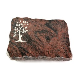 Grabplatte Aruba Pure Baum 1