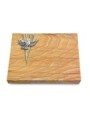Grabtafel Rainbow Delta Taube (Alu)