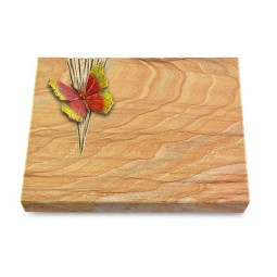 Grabtafel Rainbow Delta Papillon 2 (Color)