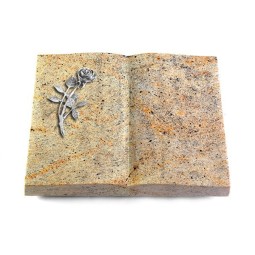 Grabbuch Livre/New Kashmir Rose 6 (Alu)