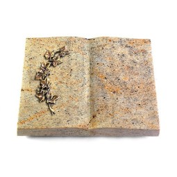 Grabbuch Livre/New Kashmir Efeu (Bronze)