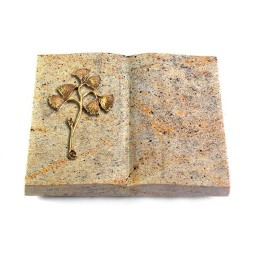 Grabbuch Livre/New Kashmir Gingozweig 1 (Bronze)