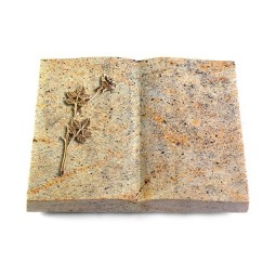 Grabbuch Livre/New Kashmir Rose 9 (Bronze)