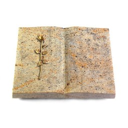 Grabbuch Livre/New Kashmir Rose 12 (Bronze)