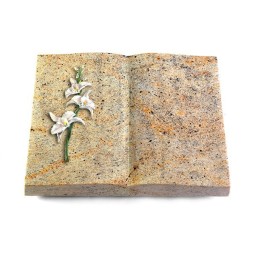 Grabbuch Livre/New Kashmir Orchidee (Color)