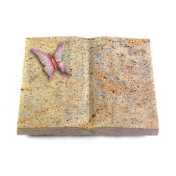 Grabbuch Livre/New Kashmir Papillon 1 (Color)