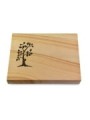 Grabtafel Woodland Pure Baum 1